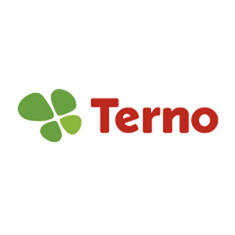 Terno logo