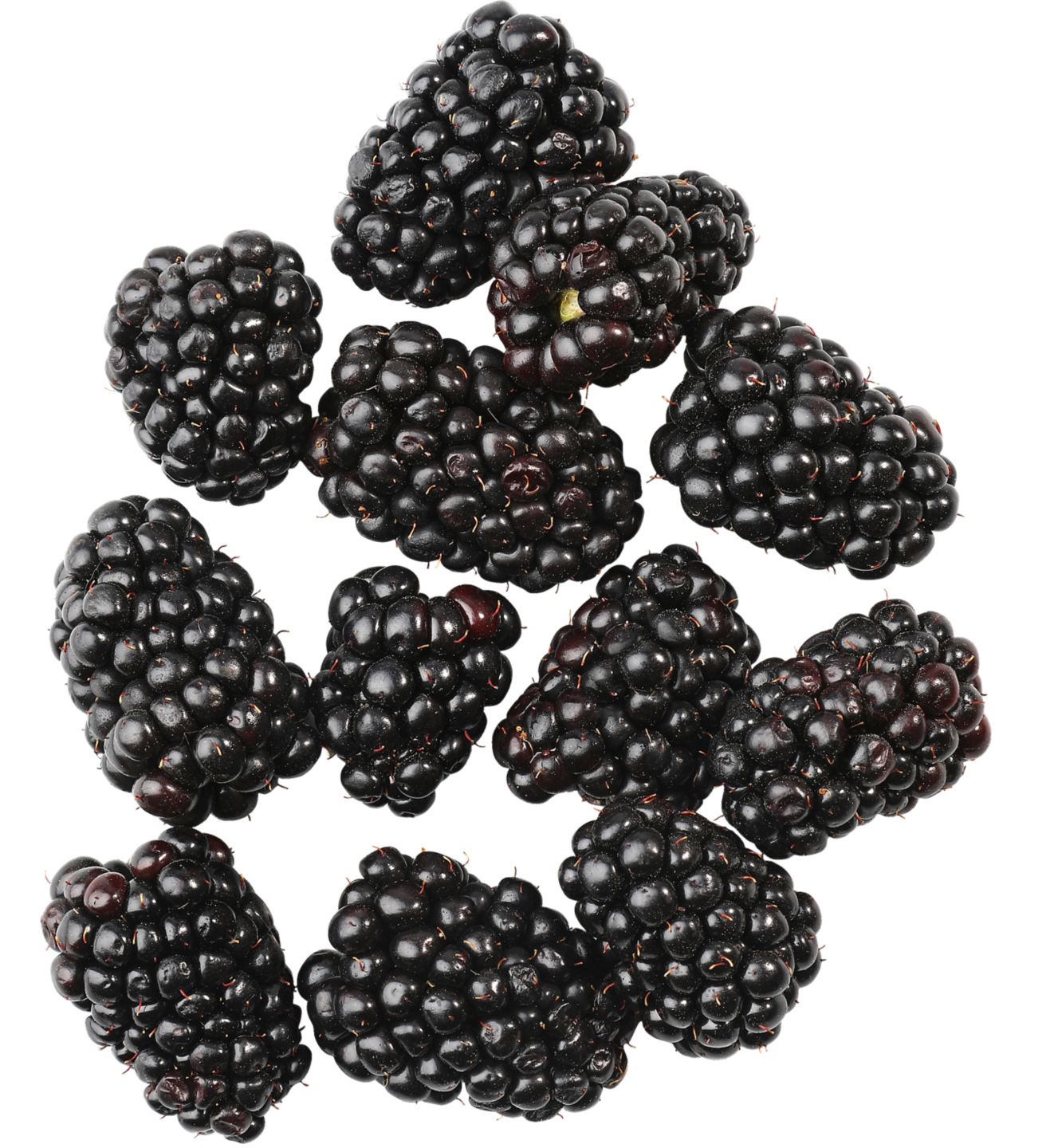 Černice 125 g balenie